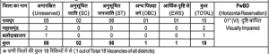 PNB Raipur Recruitment 2022