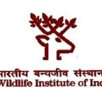 Wildlife Institute of India logo