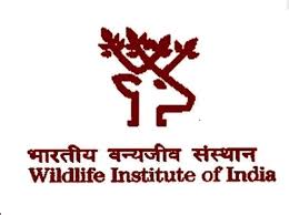 Wildlife Institute of India logo