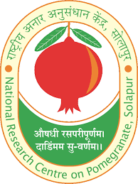 ICAR-NRCP-Solapur-logo-1.png