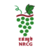 NRCG Pune Bharti 2025