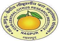 CCRI Nagpur Bharti 2024