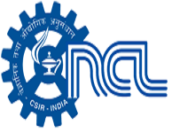 NCL Pune Bharti 2024