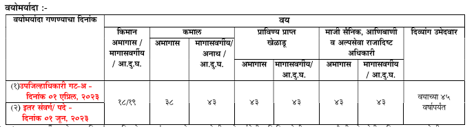 MPSC State Service Main Exam Bharti 2023 Age Limit
