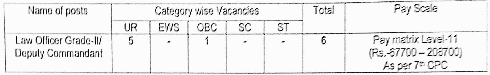 BSF Vacancy 2023 