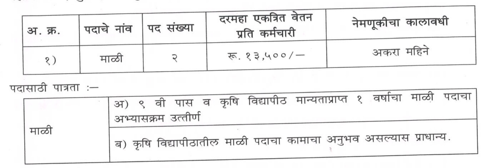 DBSKKV Ratnagiri Bharti 2023