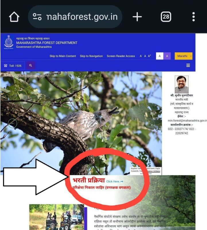 MahaForest Result Check Now 2023
