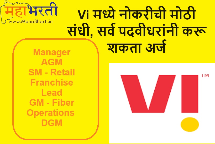 VI Job Vacancy 2024