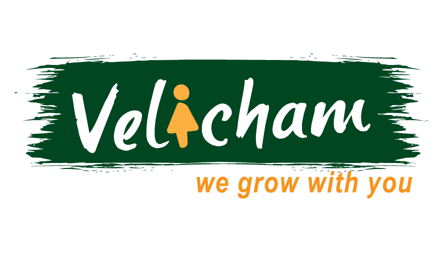 Velicham Finance Bharti 2024