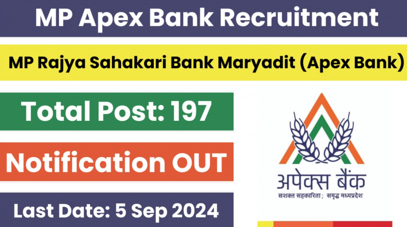 Apex Bank Jobs