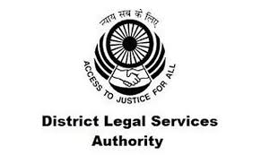 DLSA logo 2026