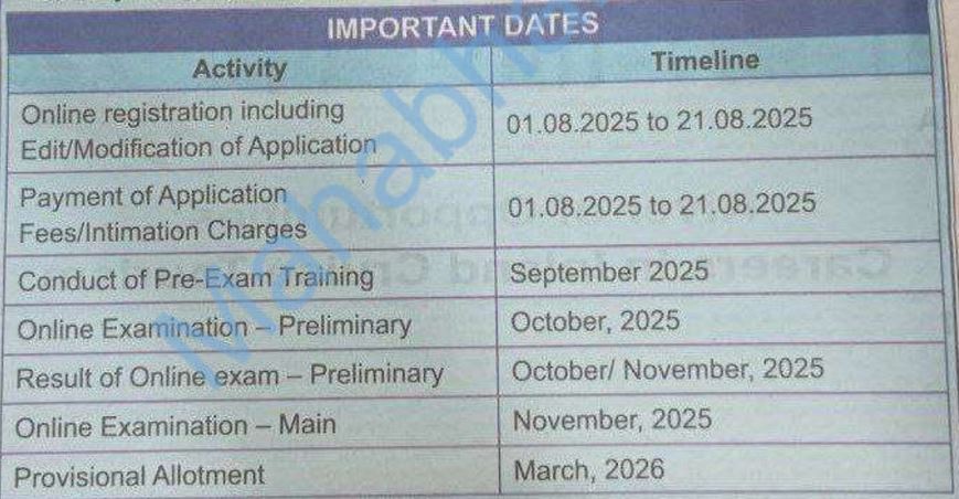 ibps clerk important date