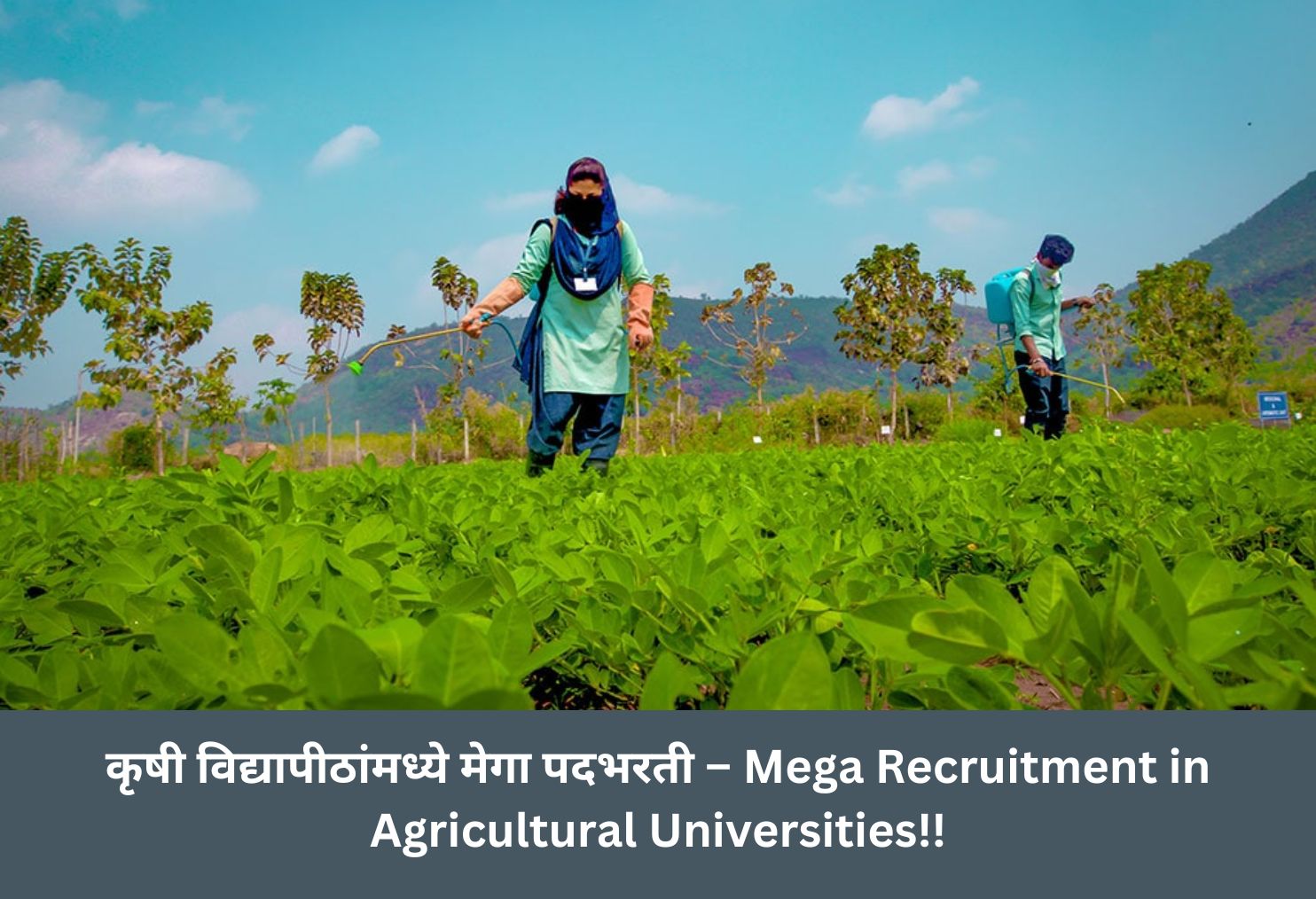 Mega Recruitment in Agricultural Universities!!