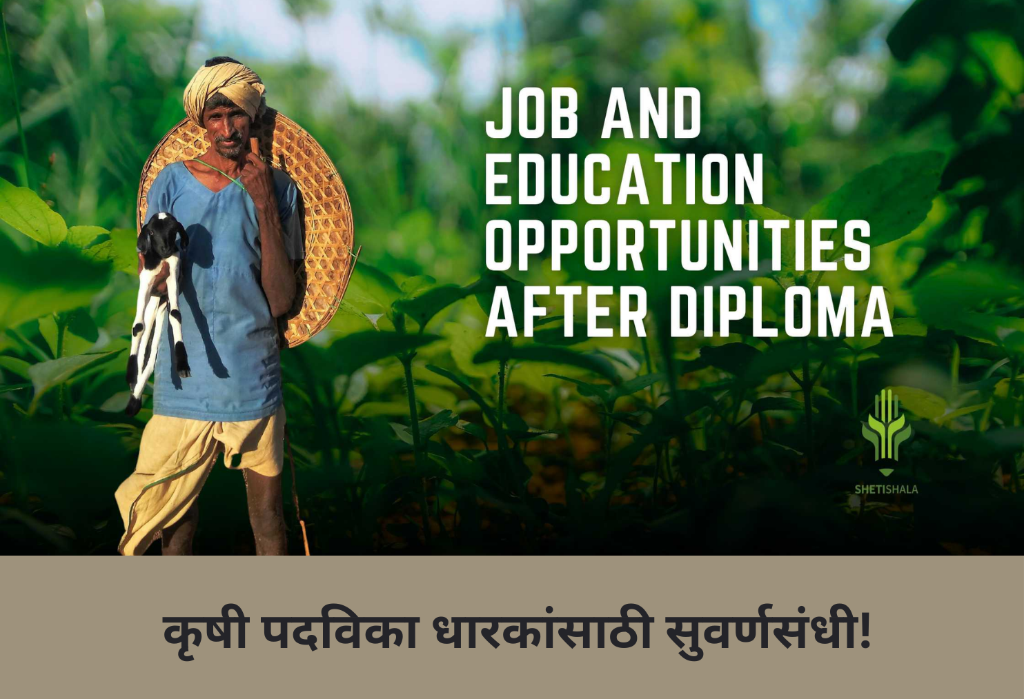 Golden Opportunity for Agri Diploma Holders!