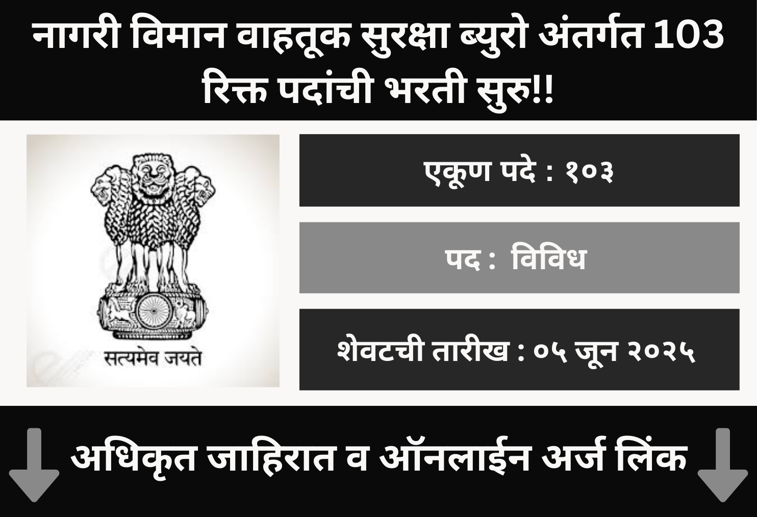 Ministry of Civil Aviation Offline Application 2025