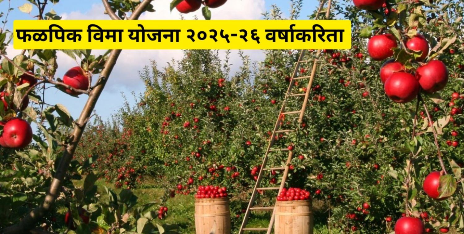 fal pik vima yojana