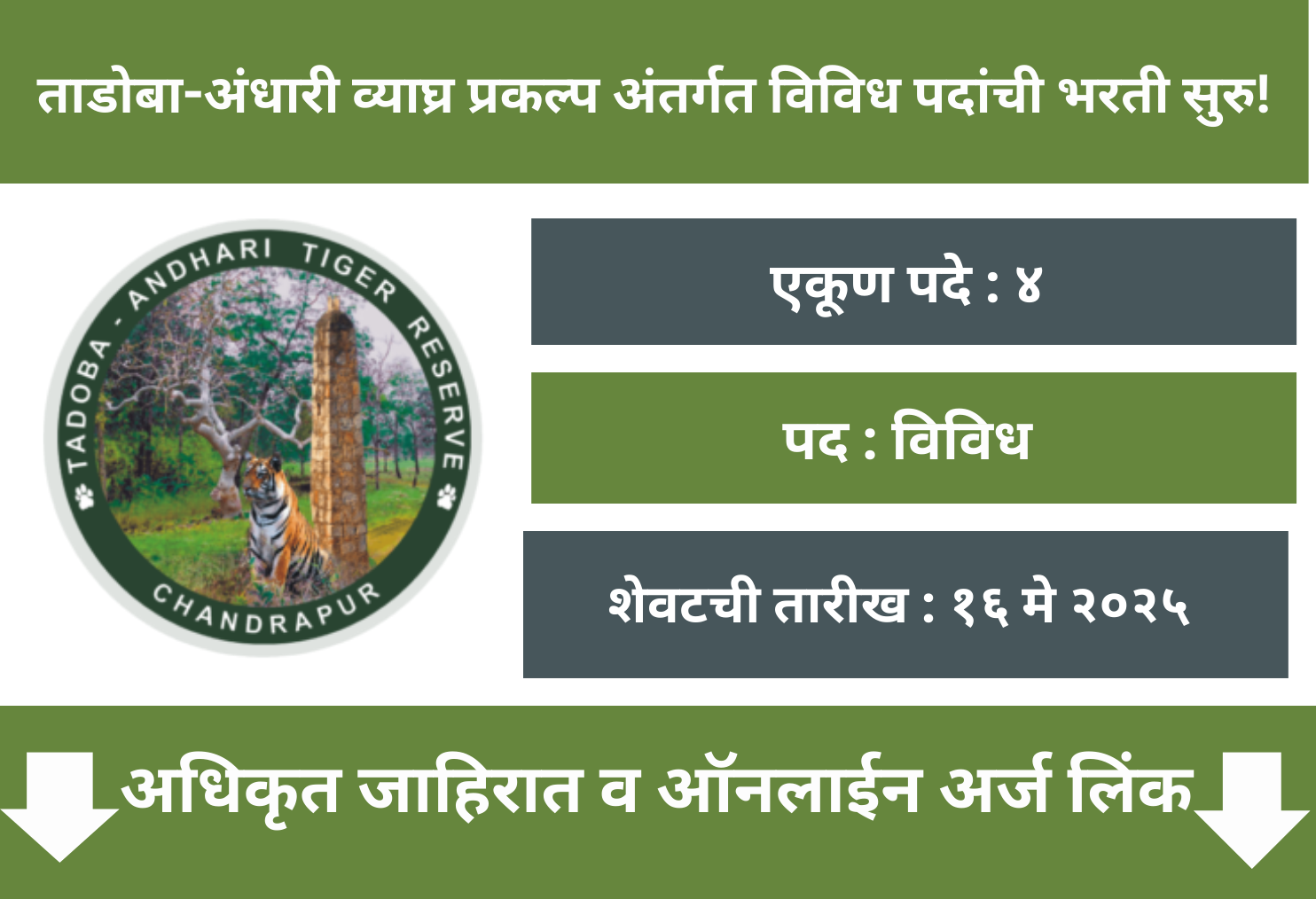 Tadoba Tiger Reserve Chandrapur Recruitment 2025 