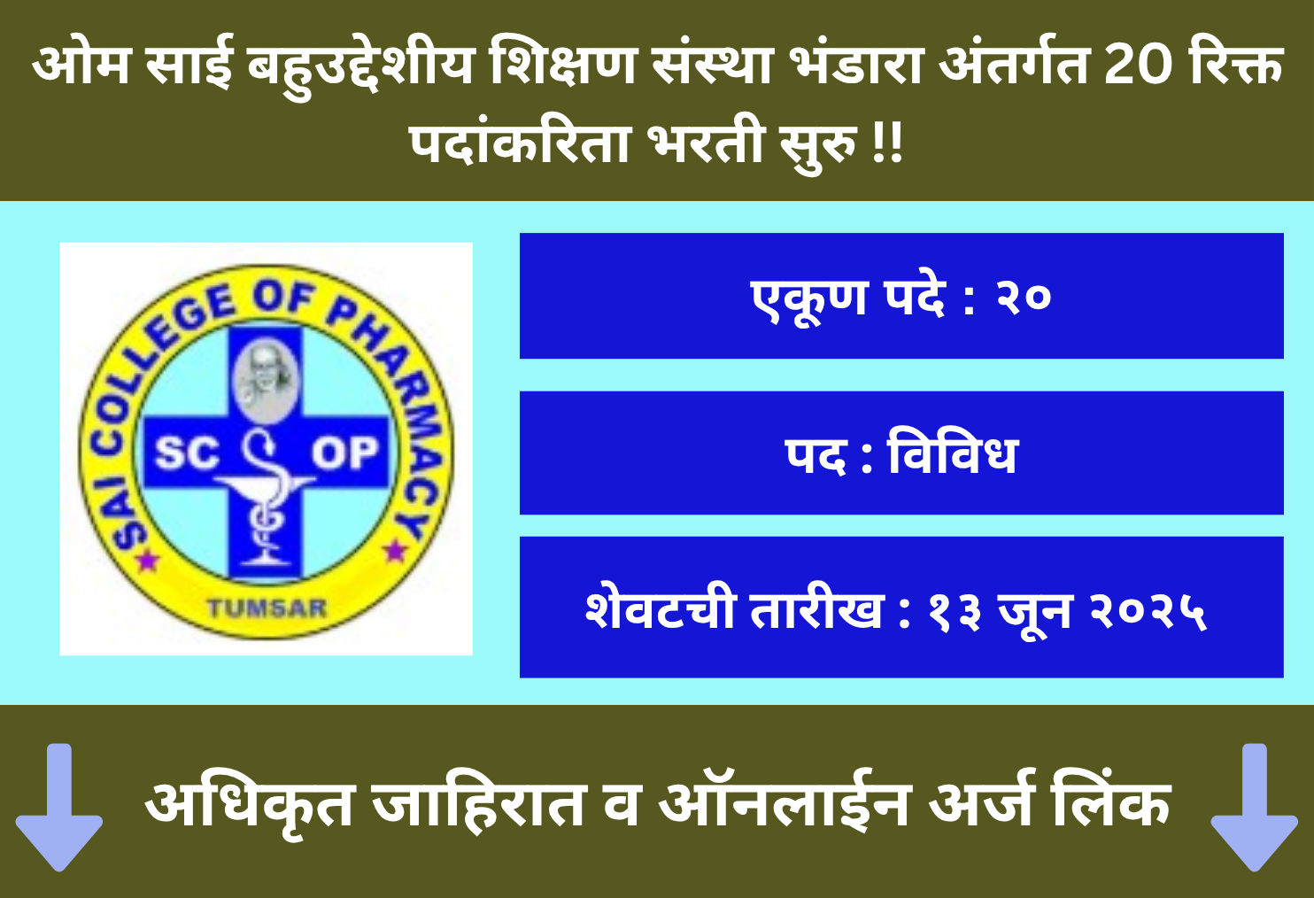 Om Sai Bahuuddeshiy Shikshan Sanstha Bhandara Recruitment 2025