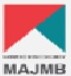 MAJMB Bharti 2025