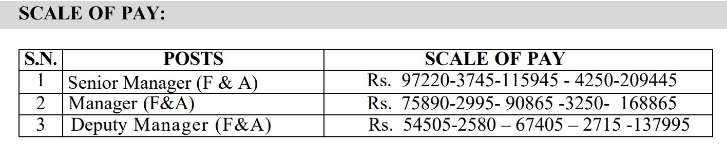 MSEDCL Recruitment 2025