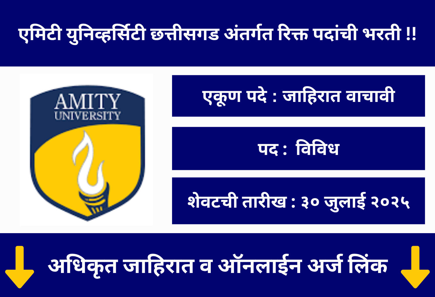 Amity University Chhattisgarh Recruitment 2025