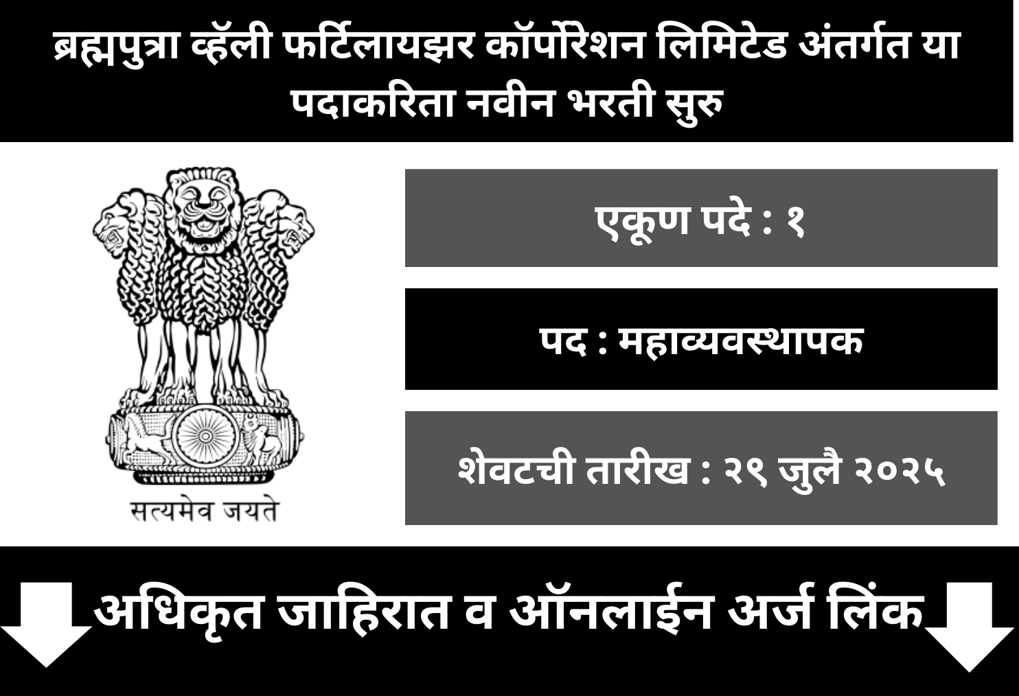 BVFC Recruitment 2025