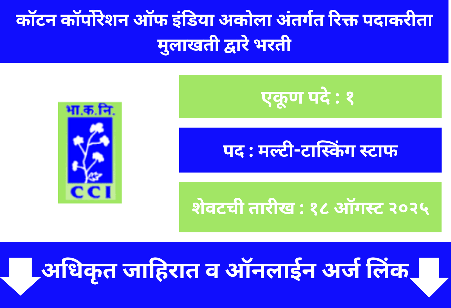 CCI Akola Recruitment 2025