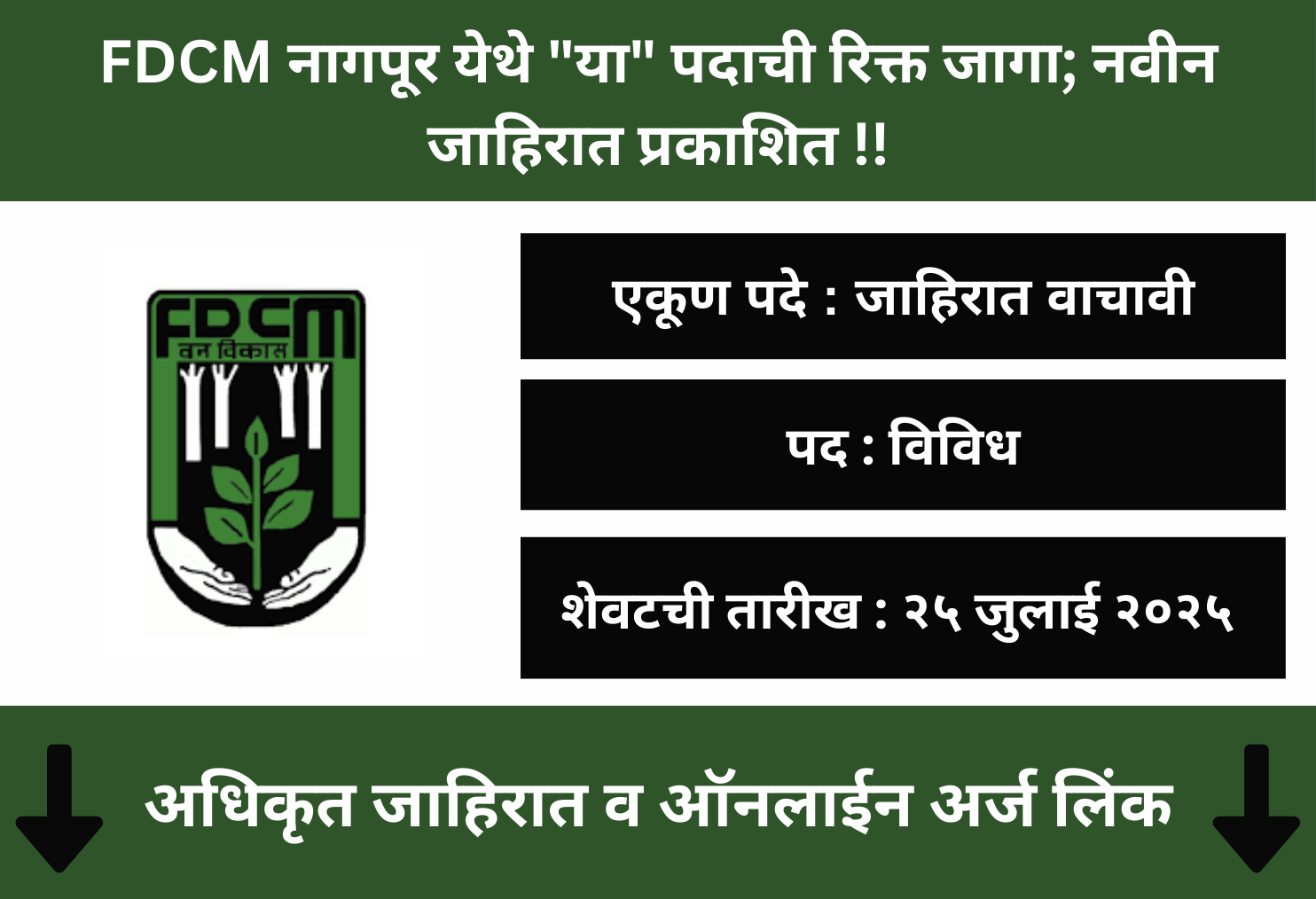 FDCM Nagpur Recruitment 2025