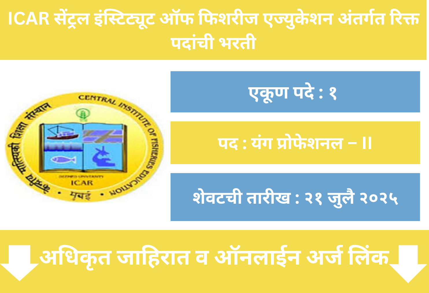 CIFE Mumbai Recruitment 2025