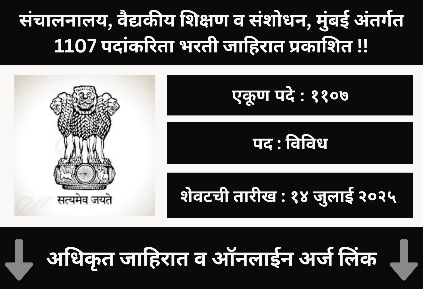 DMER Recruitment 2025