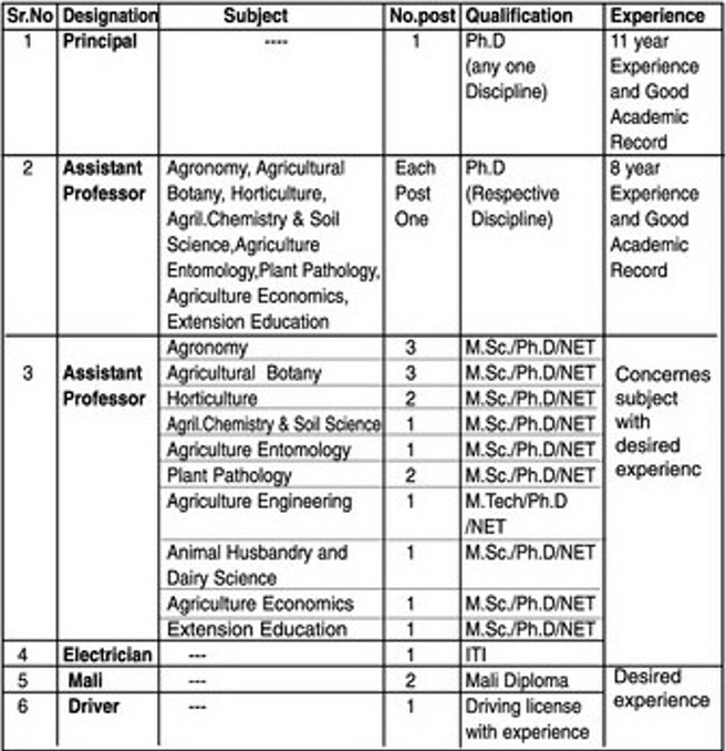 College Of Agricultural Konghra Yavatmal Bharti 2025