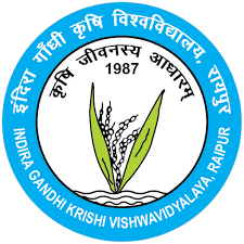 MAVIM Gadchiroli Bharti 2025