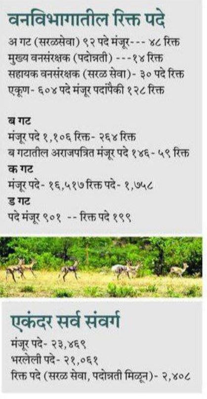 Van Vibhag Bharti 2025 - 2026
