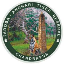 Tadoba Tiger Reserve Chandrapur Bharti 2026