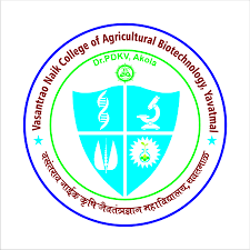 Vasantrao Naik College Yavatmal Bharti 2026