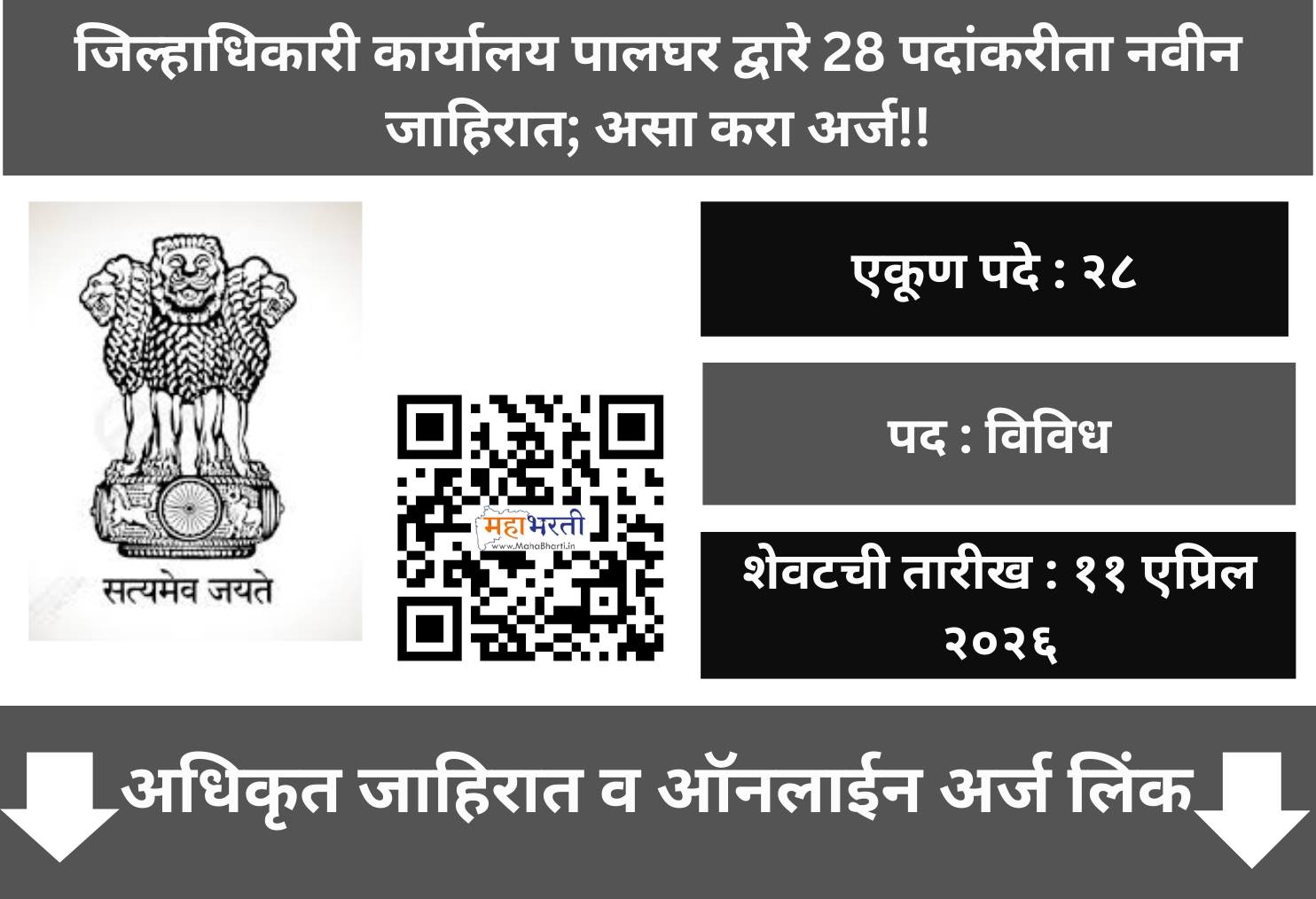 Collector Office Palghar Bharti 2026
