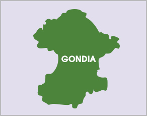 Gondia Job Fair 2026