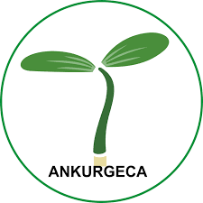 AnkurGECA Bharti 2026